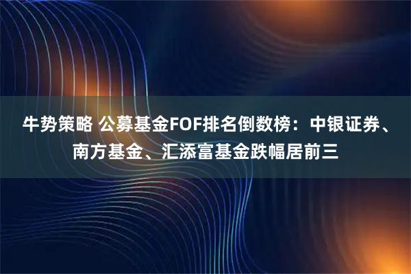 牛势策略 公募基金FOF排名倒数榜：中银证券、南方基金、汇添富基金跌幅居前三