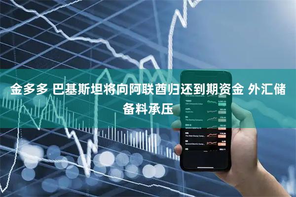金多多 巴基斯坦将向阿联酋归还到期资金 外汇储备料承压